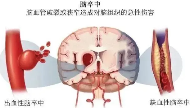 1740641013939386.png image.png