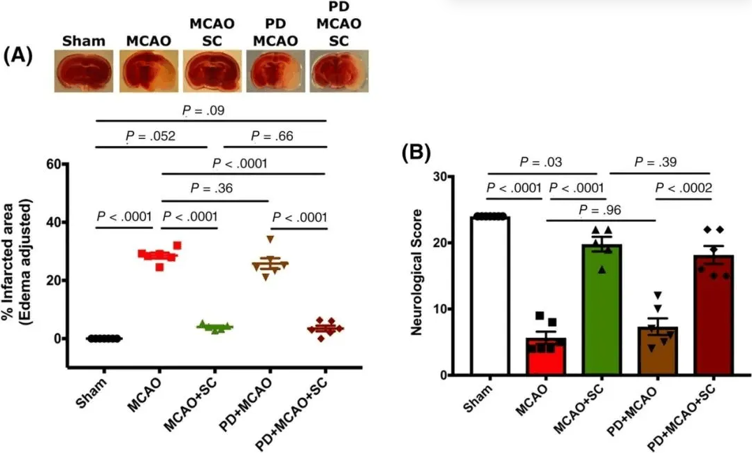 1740641049436329.png image.png