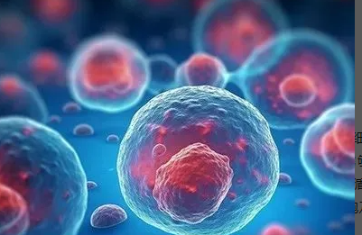 1742436241822990.png 屏幕截图 2025-03-11 151238.png