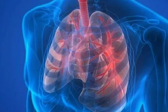 屏幕截图 2025-04-07 101935.png