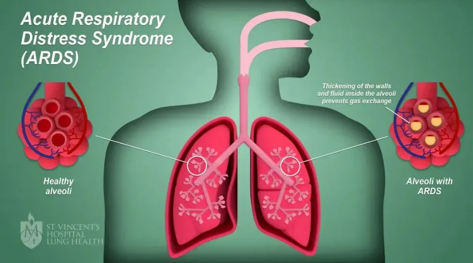 屏幕截图 2025-04-07 101944.png