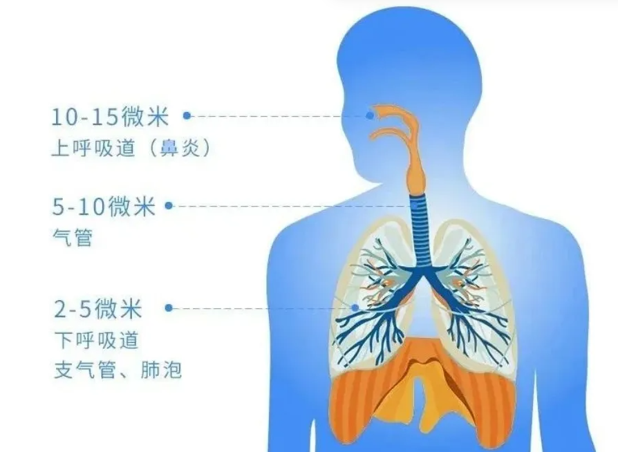 屏幕截图 2025-04-07 102038.png