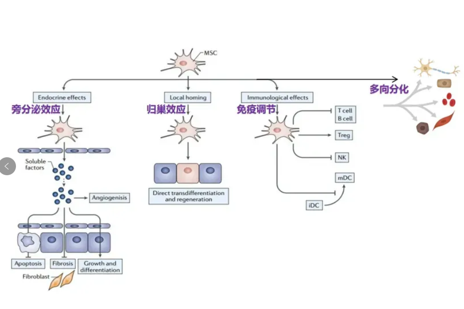 1746082333350316.png image.png