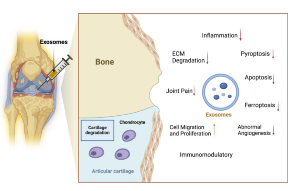 1746082434236847.png image.png