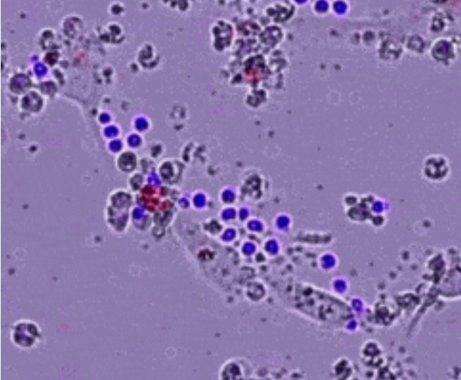 1746082999313850.png image.png