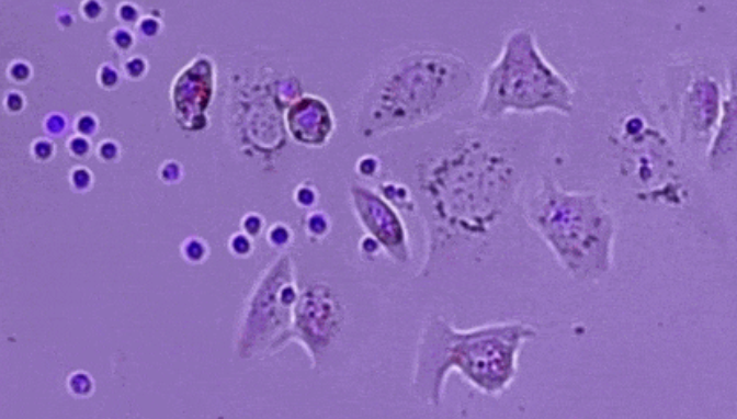 1746083013521117.png image.png