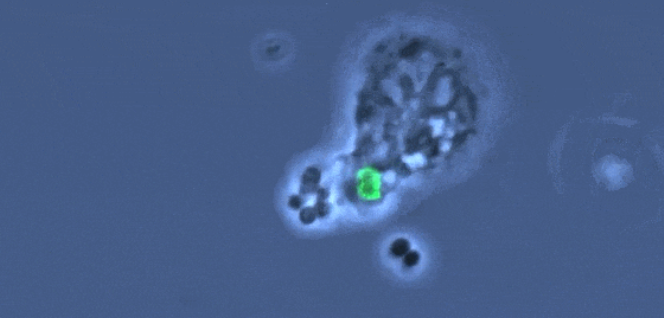 1746083083778306.png image.png