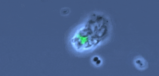 1746083176323895.png image.png