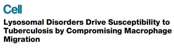 1746083257774488.png image.png