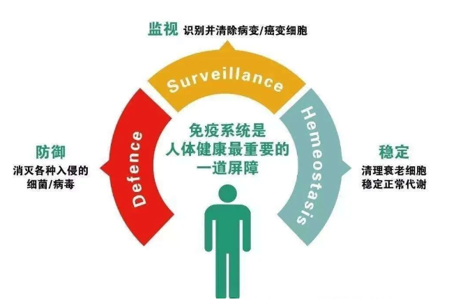 1746083376439440.png image.png