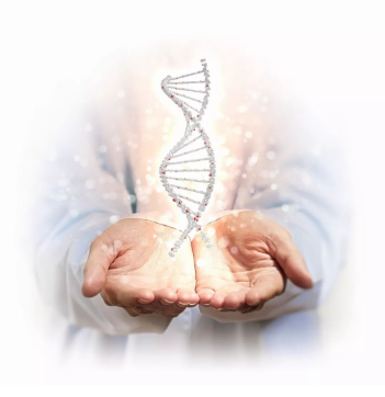 1754980592683481.png image.png