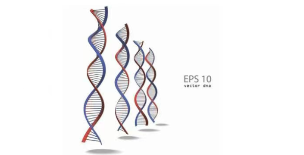 1754980653671380.png 屏幕截图 2025-06-20 133201.png