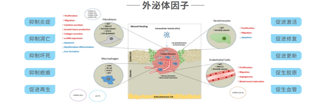 屏幕截图 2025-08-12 143919.png