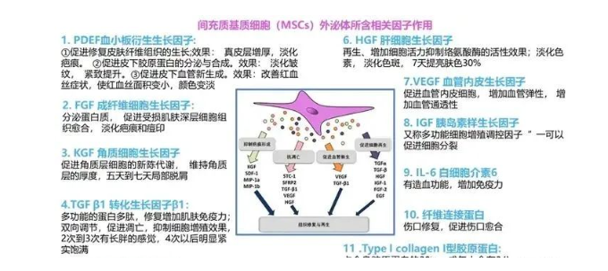 屏幕截图 2025-08-12 143937.png