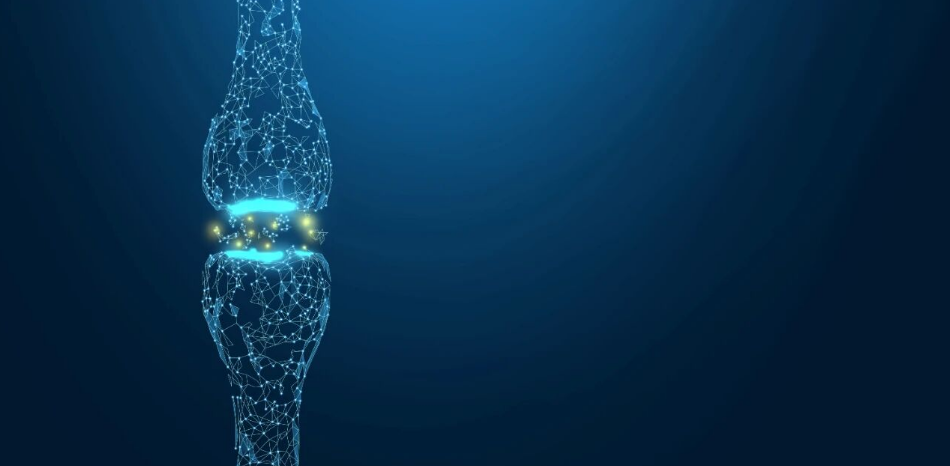 屏幕截图 2025-12-04 134841.png