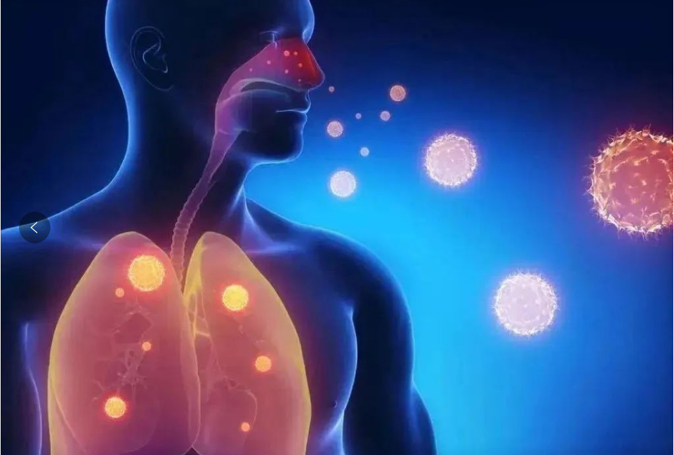 1764830363566476.png image.png