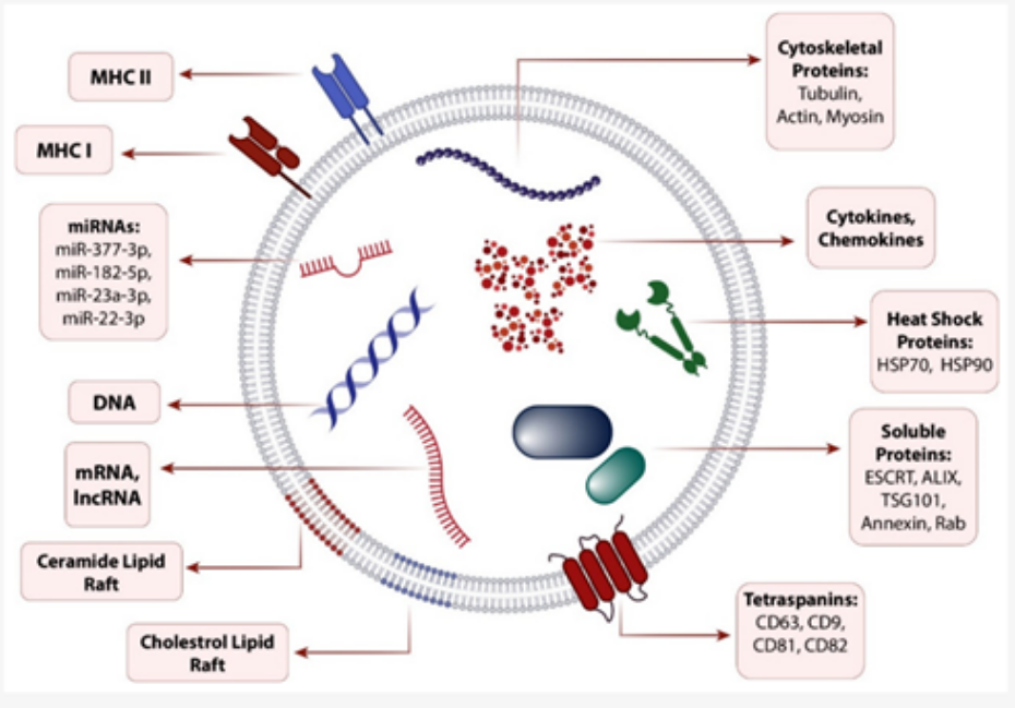 1764830393182925.png image.png