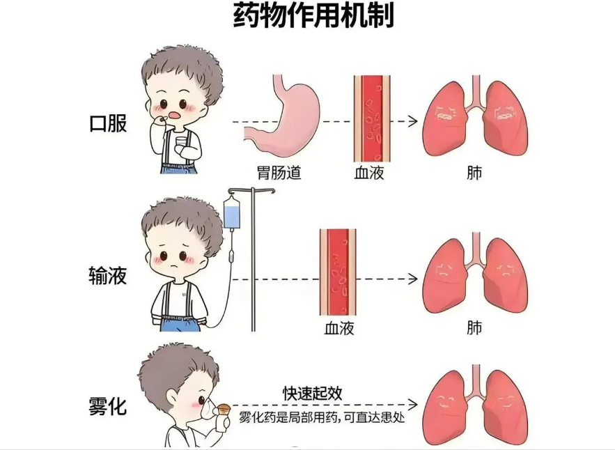 1764830429445862.png image.png