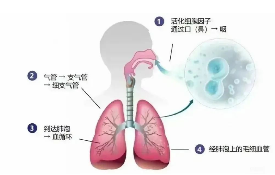 1764830470327650.png image.png