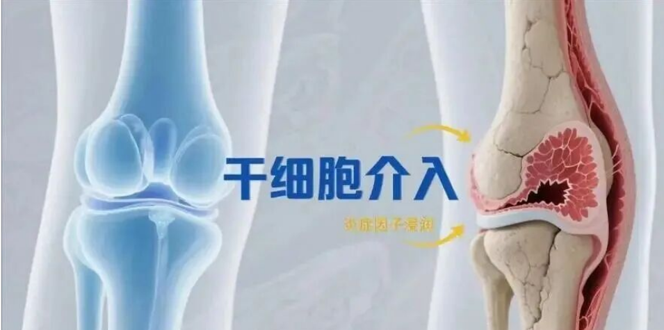 1764831415730351.png 屏幕截图 2025-12-04 144944.png